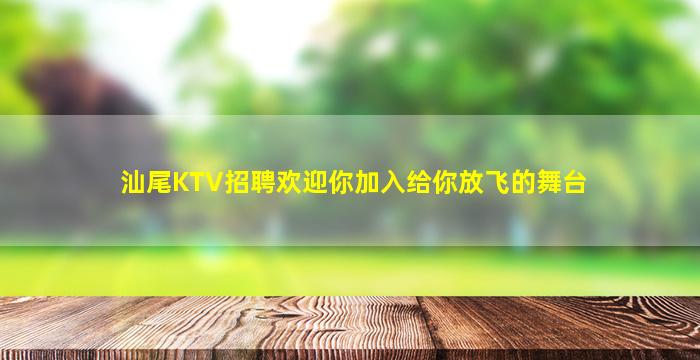 汕尾KTV招聘欢迎你加入给你放飞的舞台